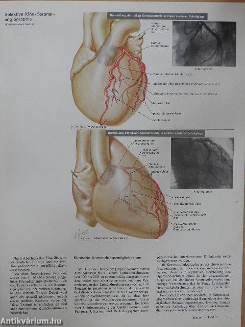 Farbatlanten der Medizin 1