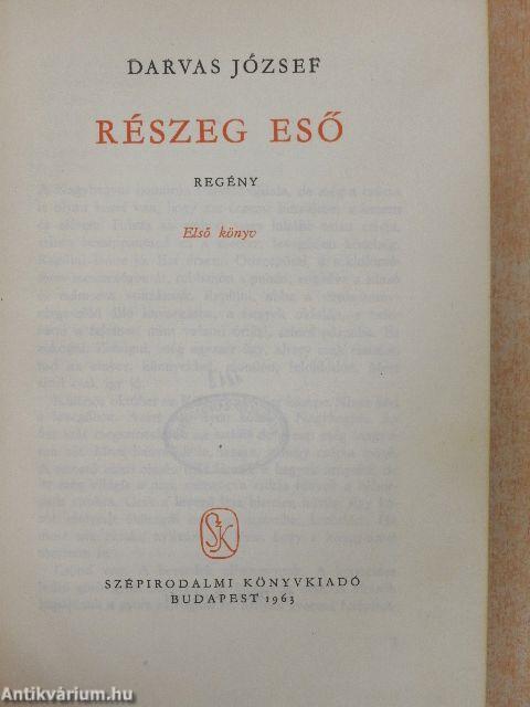 Részeg eső