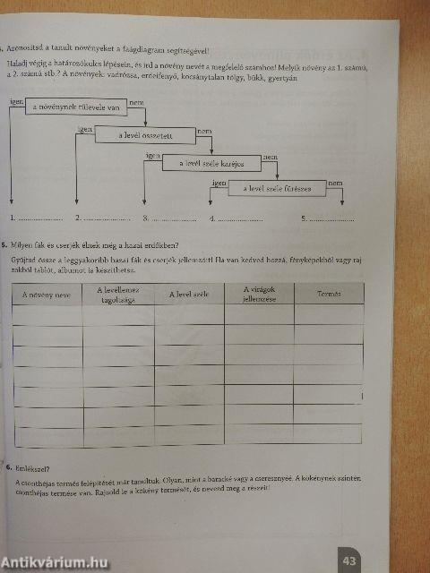 Természetismeret munkafüzet 6.
