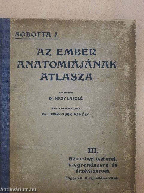 Az ember anatomiájának atlasza III. (töredék)