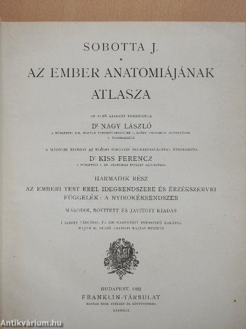 Az ember anatomiájának atlasza III. (töredék)