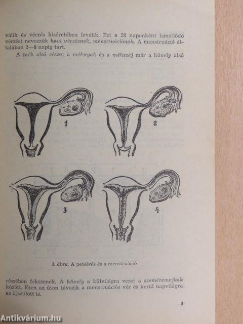 Nagylányok iskolája