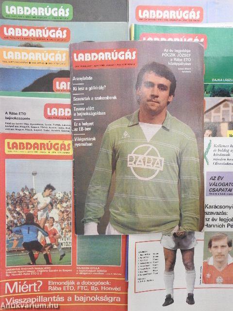 Labdarúgás 1983. január-december
