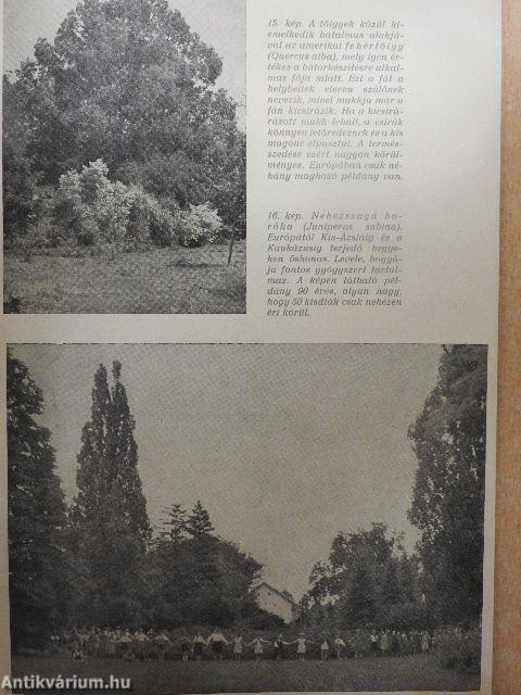 A szarvasi arborétum leírása és katalógusa