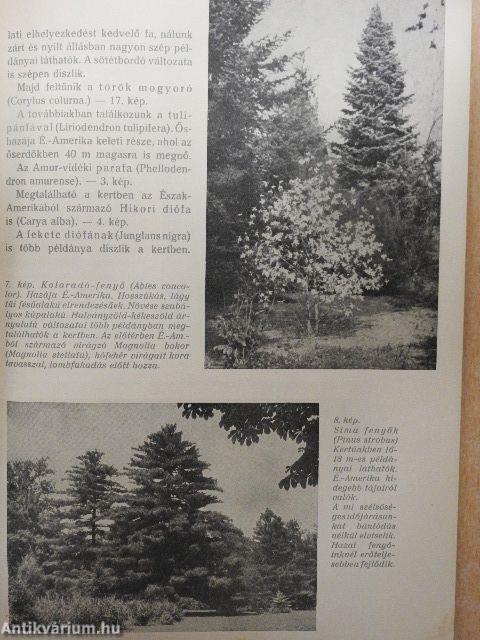 A szarvasi arborétum leírása és katalógusa