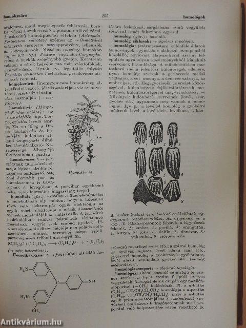 Természettudományi lexikon 3.