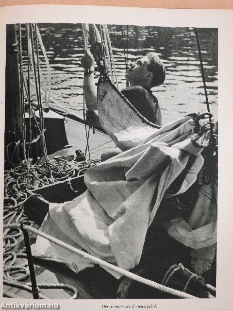 Wasser Wind und weiße Segel