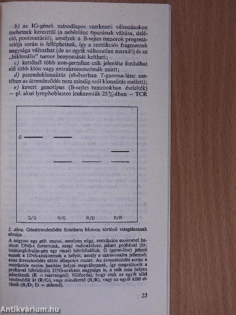 Gyermekkori malignus (szolid) tumorok