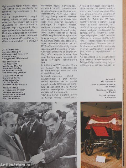 Magyar lótenyésztés 1945-1980