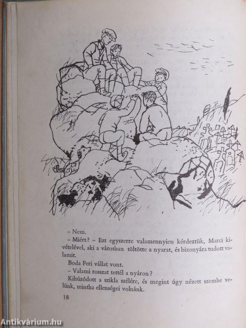 Puskák és galambok