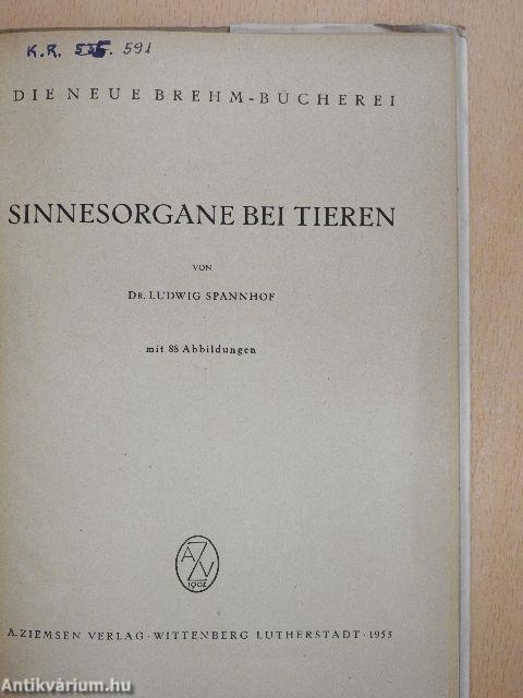 Sinnesorgane bei Tieren