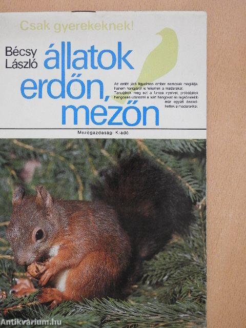 Állatok erdőn, mezőn