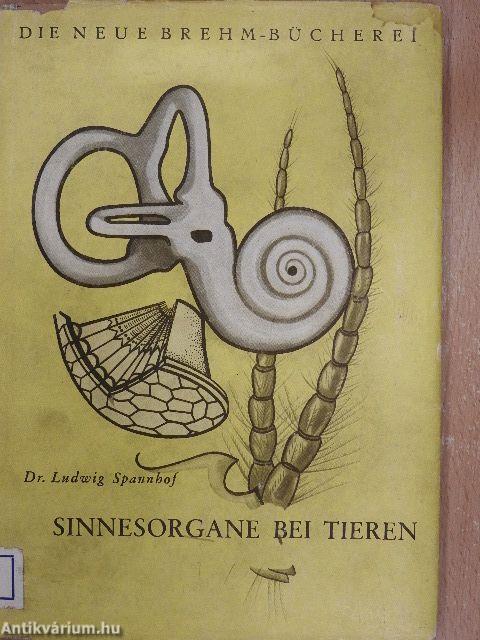 Sinnesorgane bei Tieren