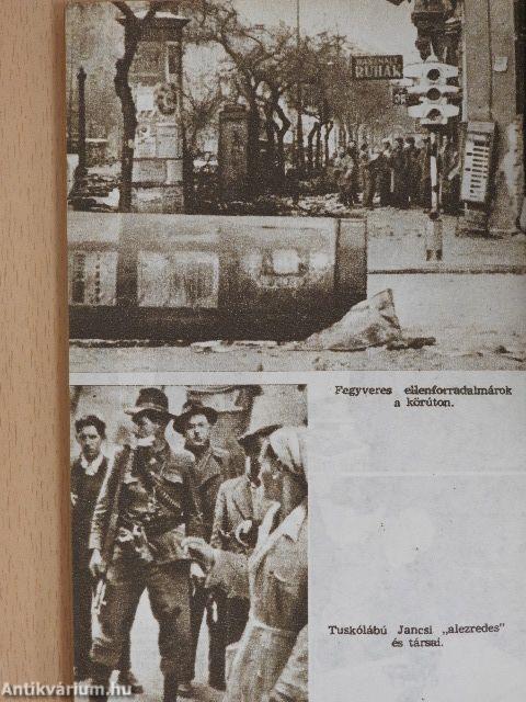 Harcban az ellenforradalommal