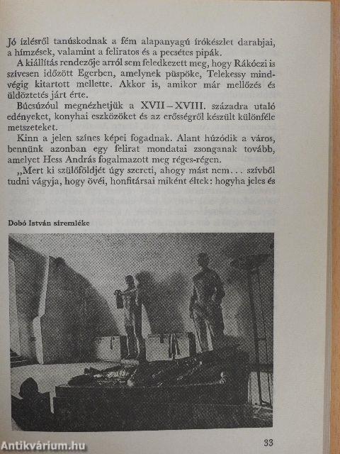Ódon házak, hajdanvolt egriek