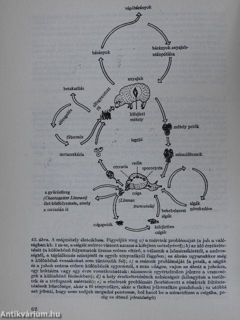 A mezőgazdasági rendszerek biológiai alapjai