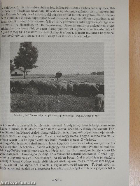 A rostaforgató asszony