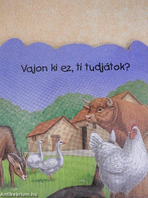 Fickó kutya 