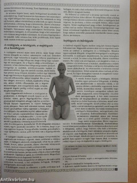 Az egészséges életmód alapjai 3.