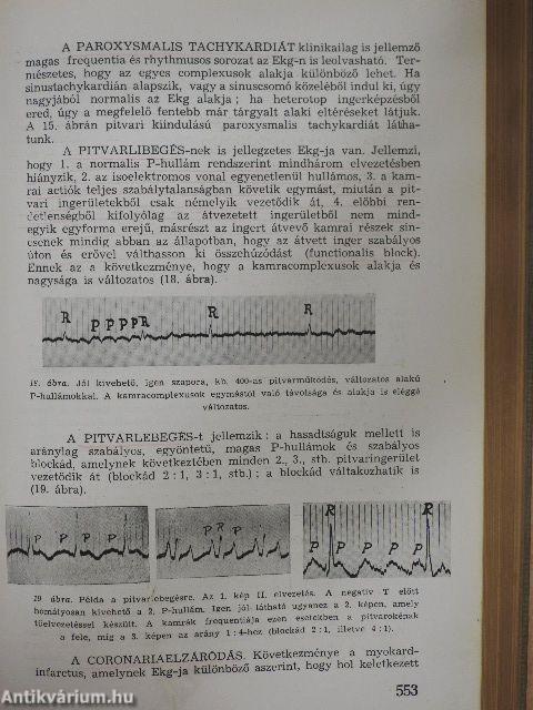 A belgyógyászat alapvonalai II. (töredék)