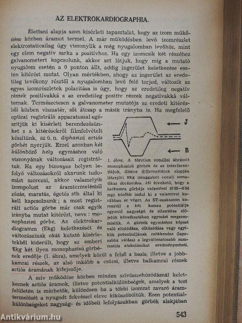 A belgyógyászat alapvonalai II. (töredék)