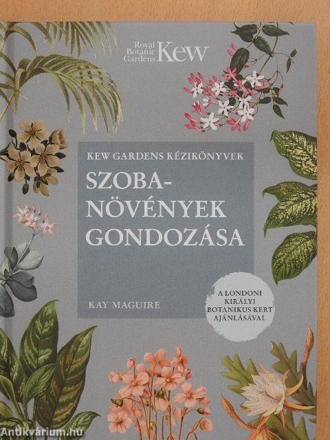 Szobanövények gondozása