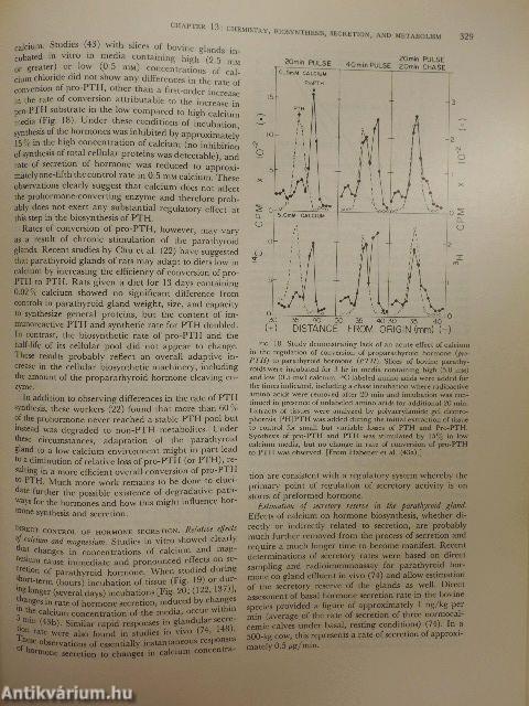 Endocrinology VII.