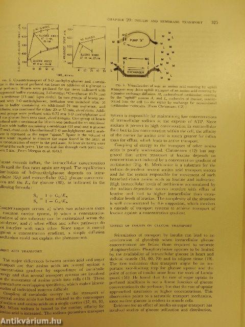 Endocrinology I.