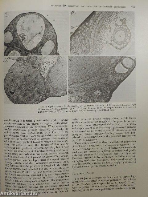 Endocrinology II/1-2.