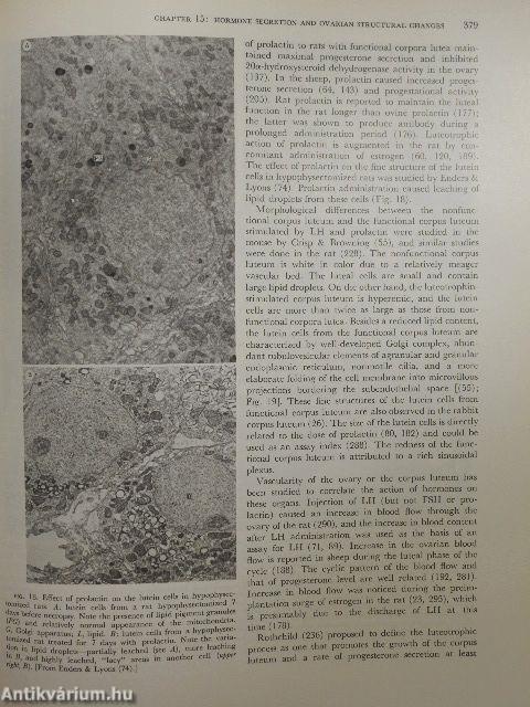 Endocrinology II/1-2.