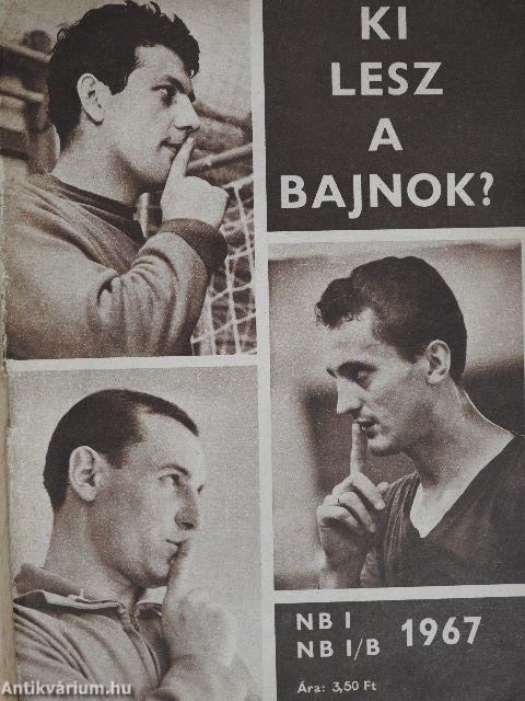 Ki lesz a bajnok?