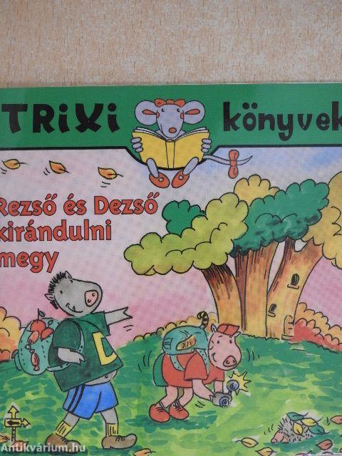 Rezső és Dezső kirándulni megy