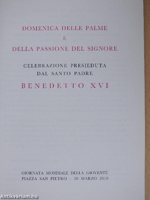 Domenica delle Palme e della Passione del Signore