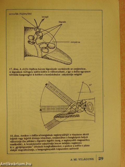 Élő technikai modellek