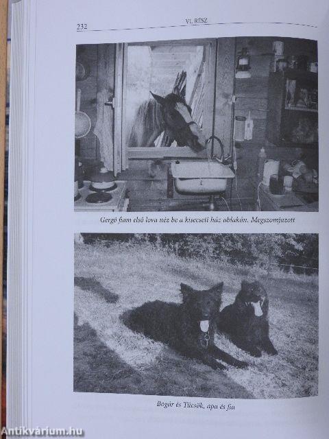 A Duna mégis összeköt