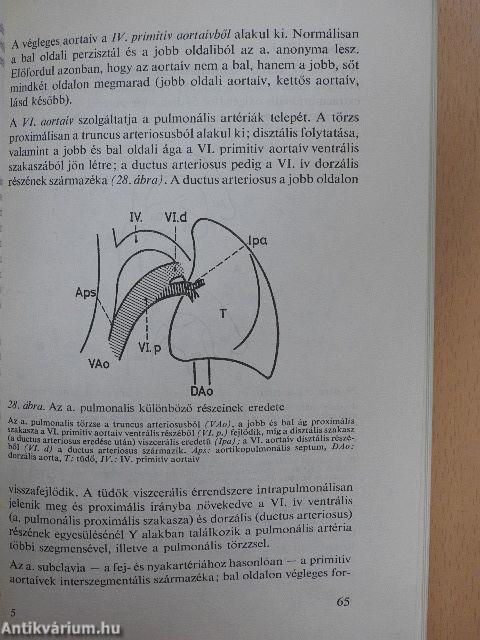 A biológia aktuális problémái 23.