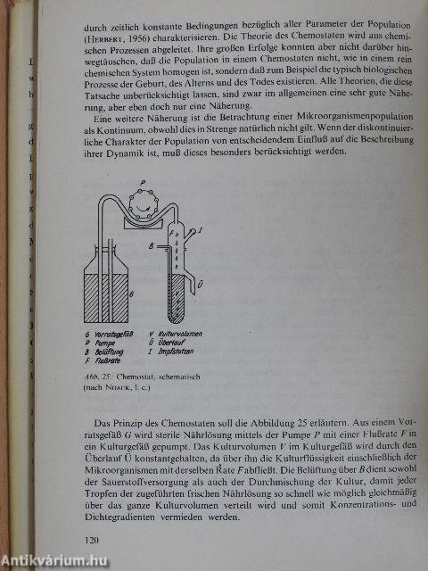 Biophysik des Fließgleichgewichts