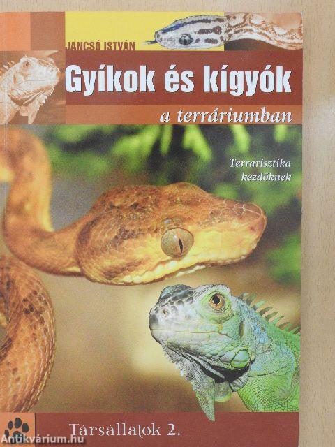 Gyíkok és kígyók a terráriumban