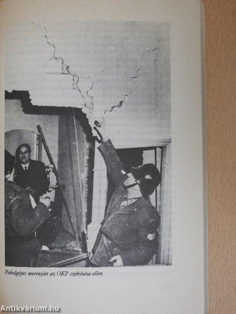 Itáliai katonacsizma