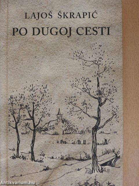 Po dugoj cesti