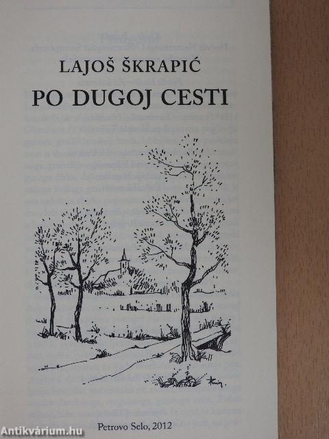 Po dugoj cesti