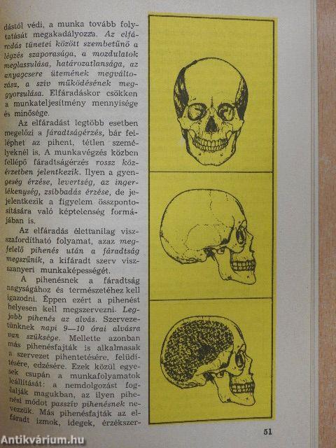 Az egészséges ifjúmunkás