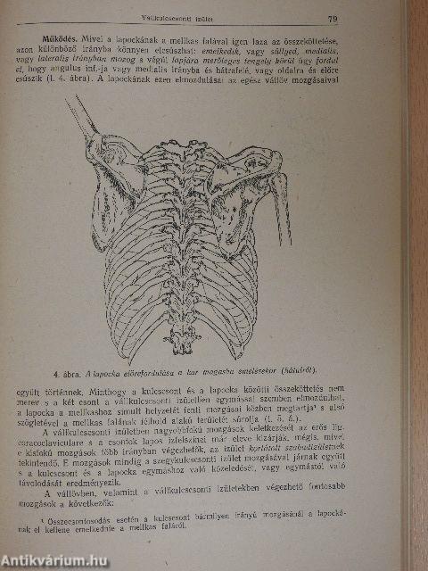 Rendszeres bonctan I-II.