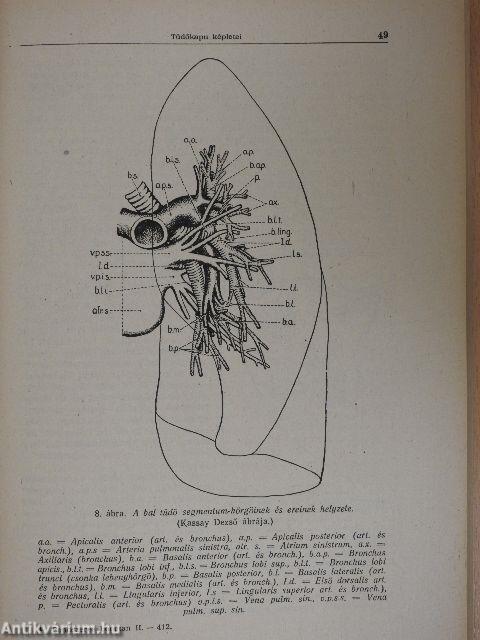 Rendszeres bonctan I-II.