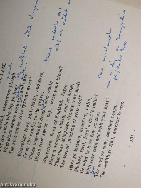 Szöveggyűjtemény a XIX. sz. angol irodalmából