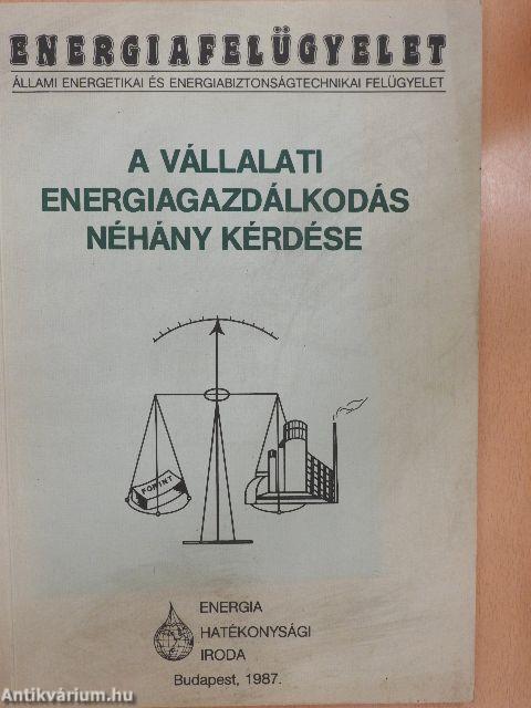 A vállalati energiagazdálkodás néhány kérdése