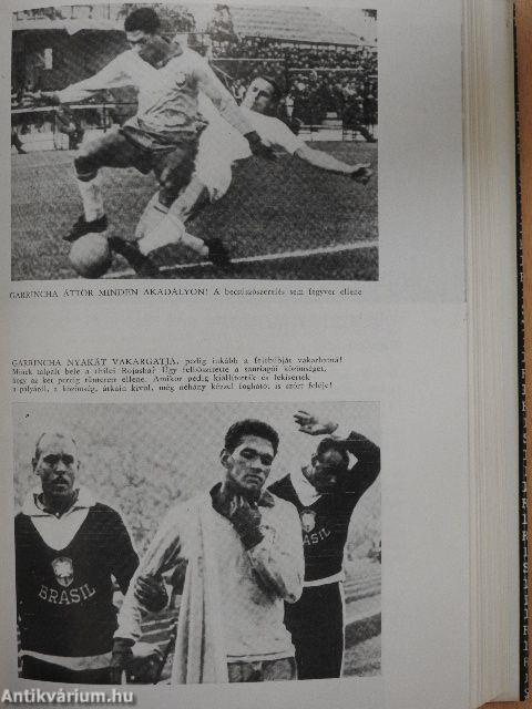 A labdarúgó-világbajnokságok csillagai