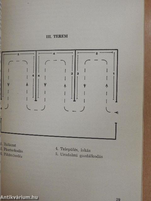 Zala megye története