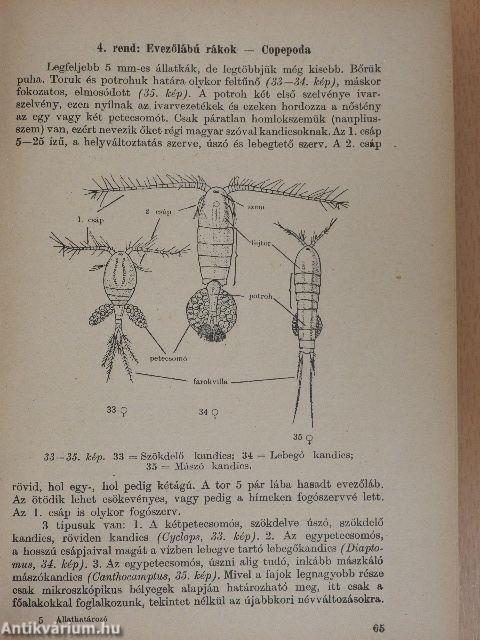 Állathatározó I-II.