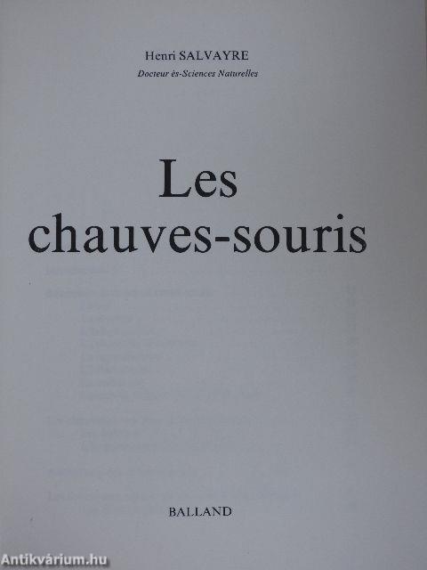 Les chauves-souris